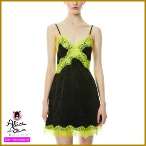 Alice + Olivia Zaira Lace Trimmed Black Lime Mini Cocktail Dress